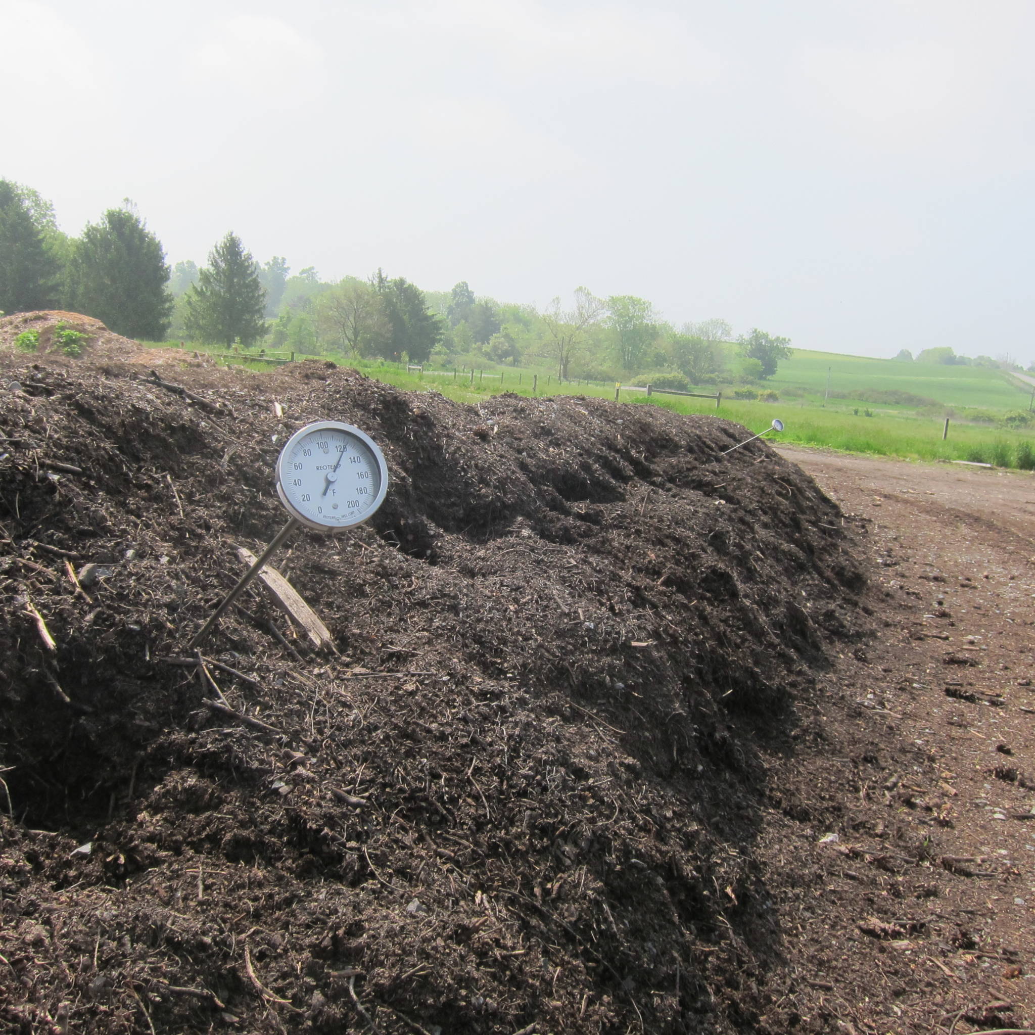 A thermometer placed into a compost pile out in nature