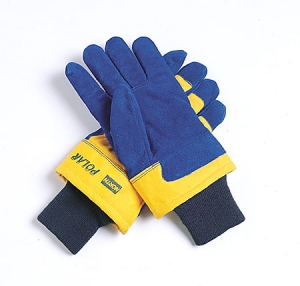 Polar® Insulated Cold Weather Gloves