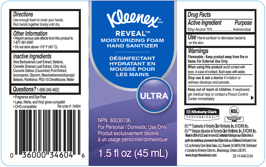 Reveal Ultra Moisturizing Foam Hand Sanitizer, 18 oz Bottle, Fragrance-Free Reveal Ultra Moisturizing Foam Hand Sanitizer, 18 oz Bottle, Fragrance-Free