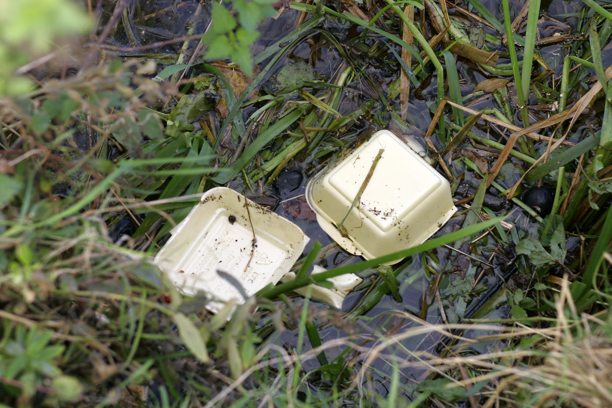 Polystyrene Foam Food Container Environmental Litter