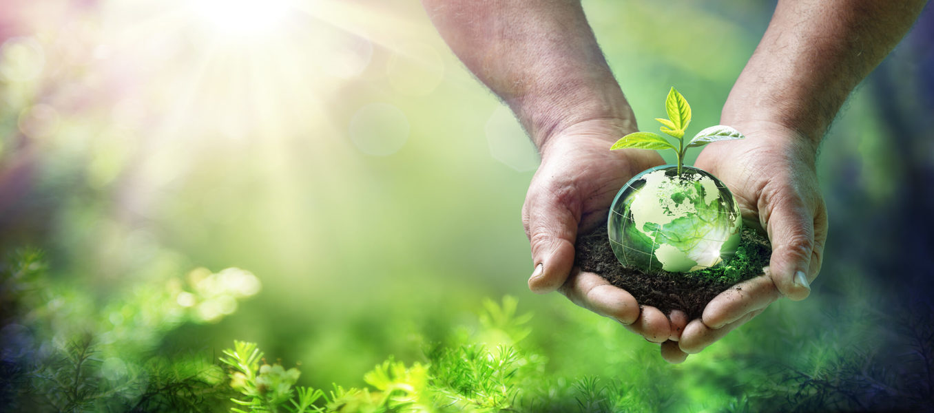 An Eco image-man holding a a green colored earth growing a seedling in his palms