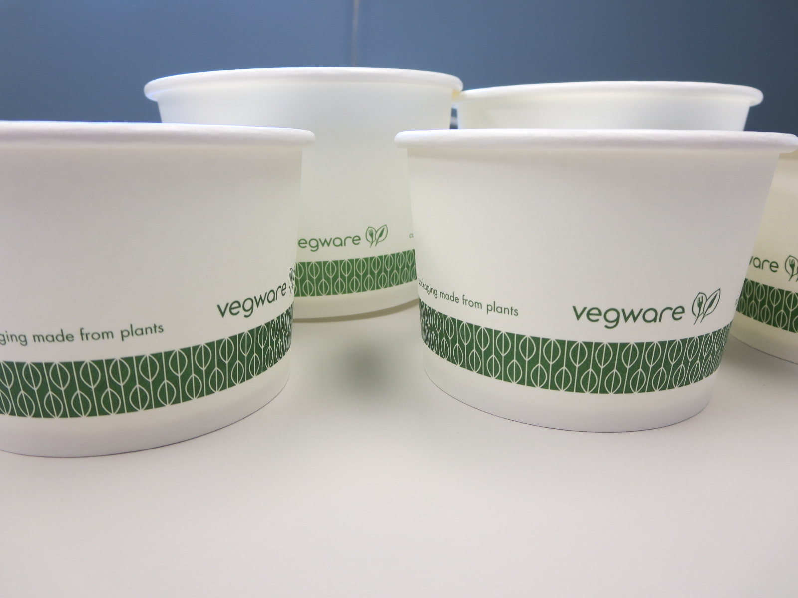 Vegware™ Compostable Containers