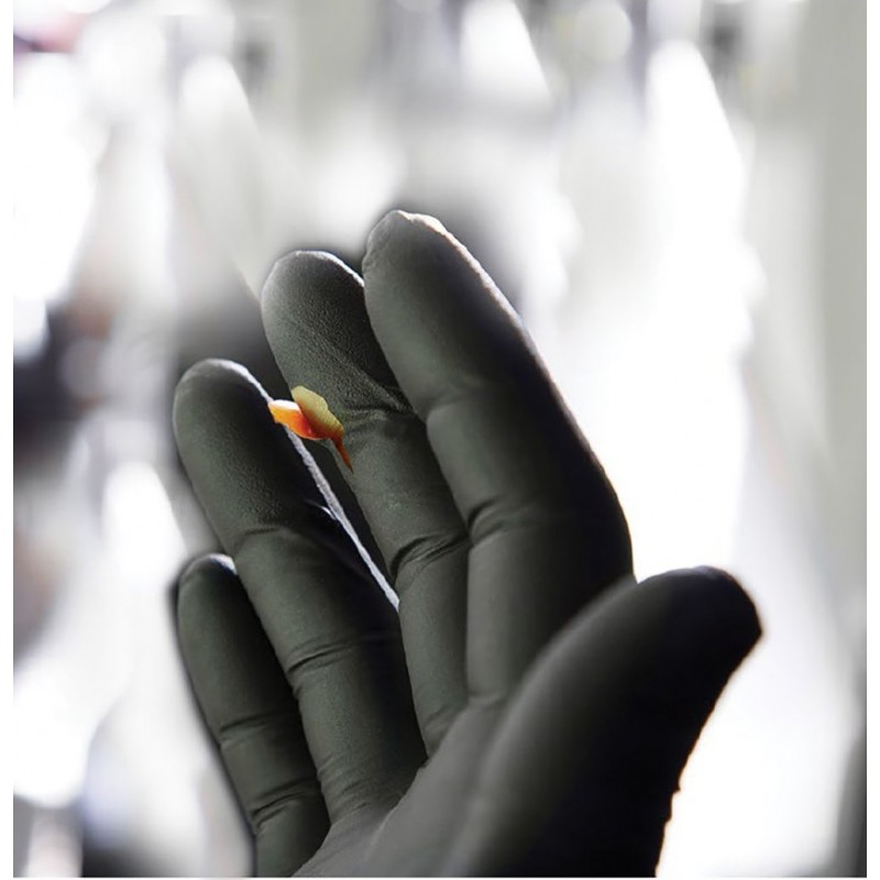 BlackFire® Nitrile Exam Gloves Fentanyl Resistant Disposable Gloves