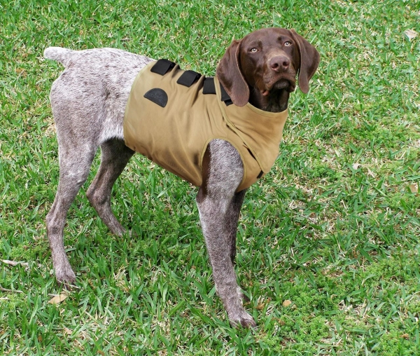 Dog in TurtleSkin® DogArmor Vests