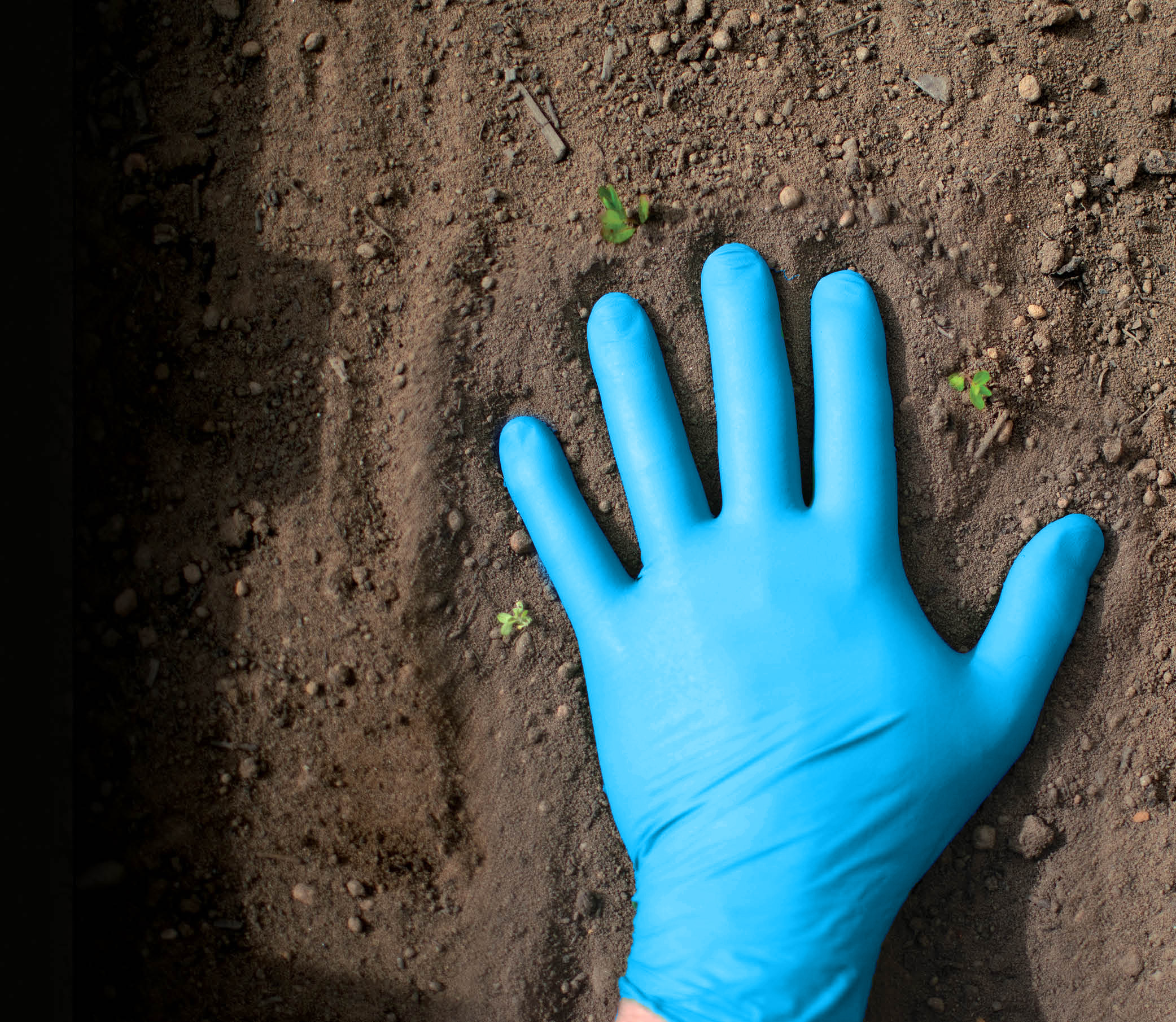Showa® 7500PF Blue Biodegradable EBT Nitrile Gloves
