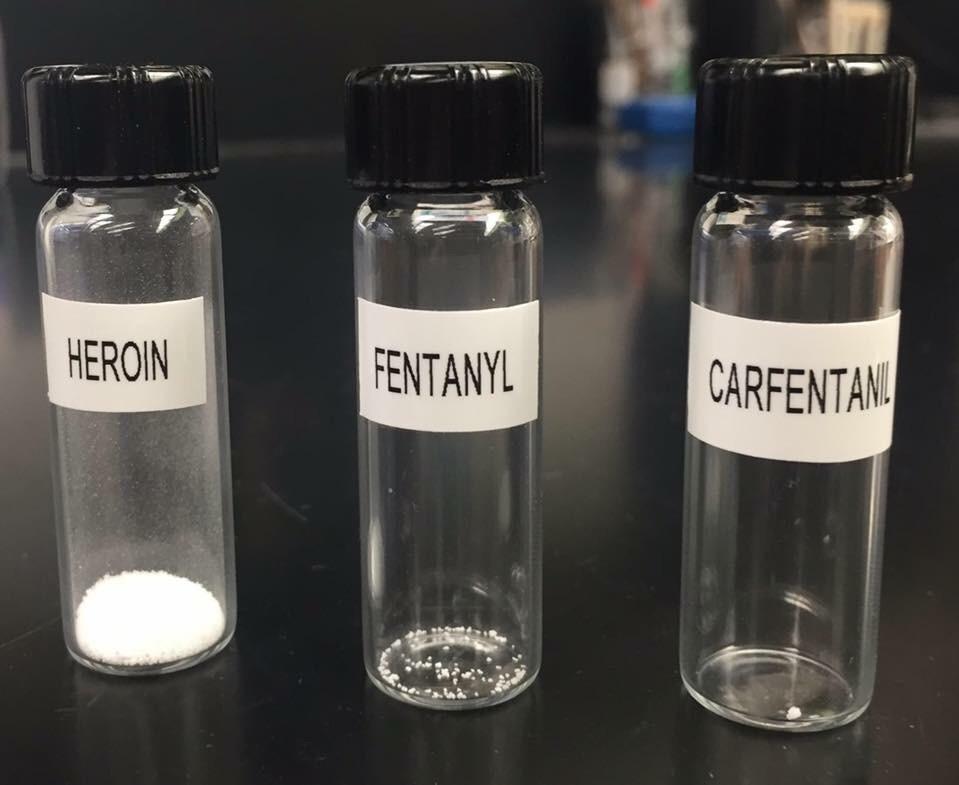 Fatal Toxin Line Up Comparison: Heroin, Fentanyl & Carfentavil