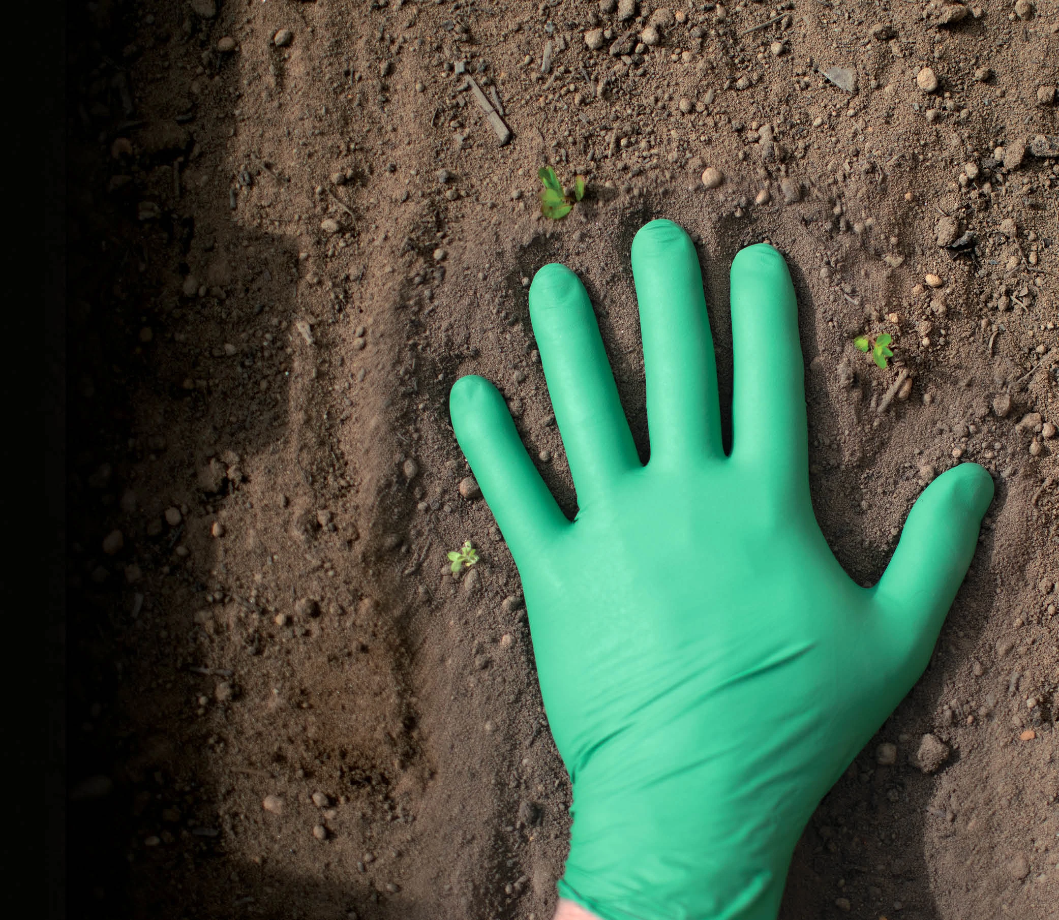 Sustainable Green Single-Use Nitrile Gloves Impressing into Dirt