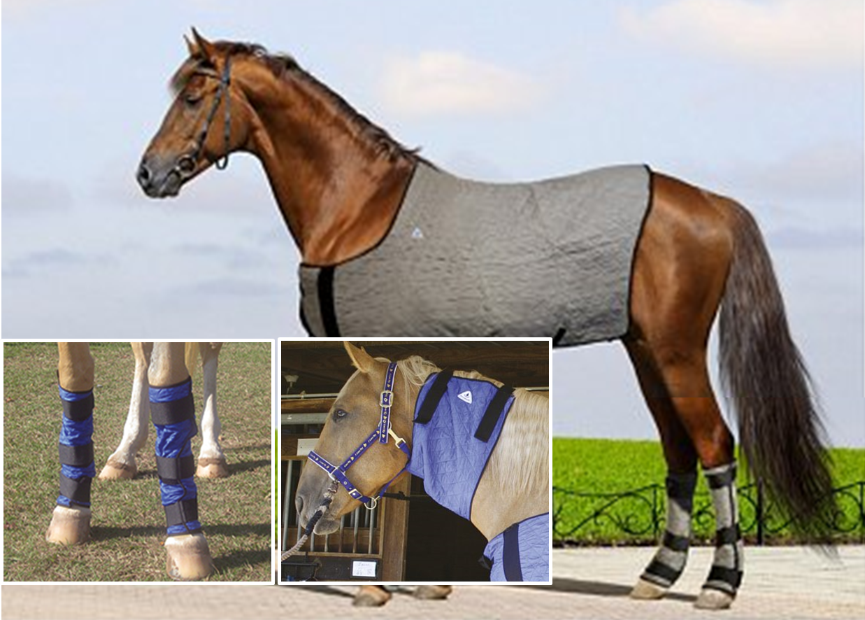 HyperKewl™ Horse Evaporative Cooling Bundle Horse Cooling Supplies