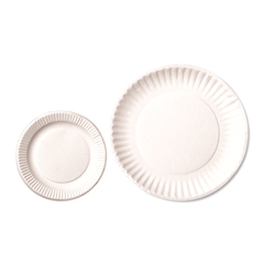 Disposable Paper Plates