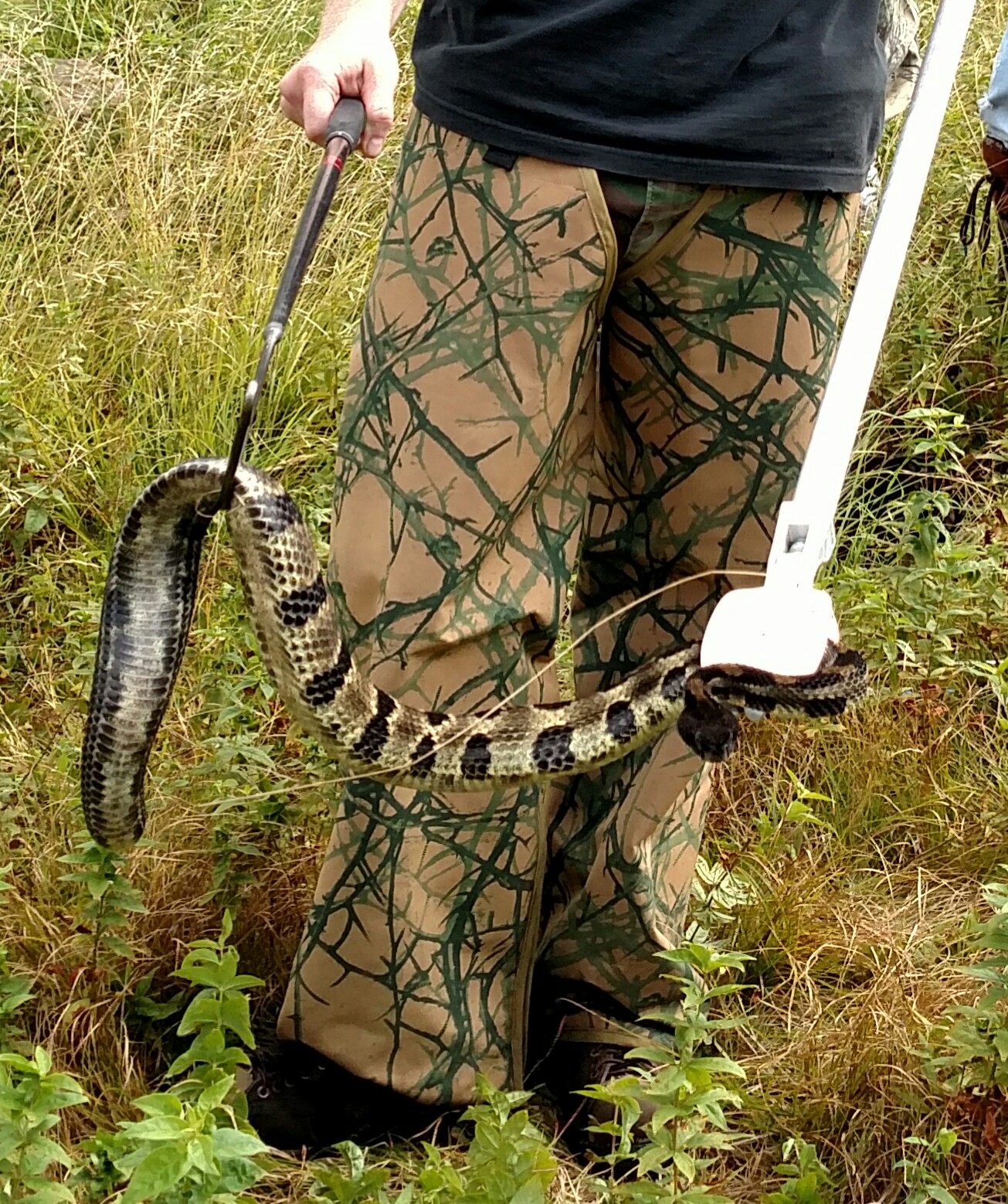 SnakeArmor® Total Protection Chaps Rattlesnake Bite Resistant Chaps
