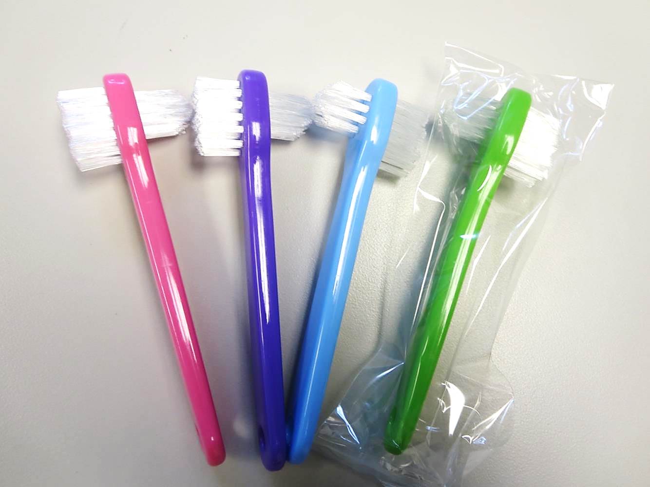 20041-A Plasdent Premium Mini Denture Brushes 