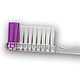 #10901B OraBrite® Premium OraDent Clear Toothbrushes with Power Tip Bristles