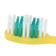 Oraline Junior Toothbrush