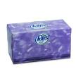 Proctor & Gamble® Professional Puffs® 33549 2-Ply Facial Tissue